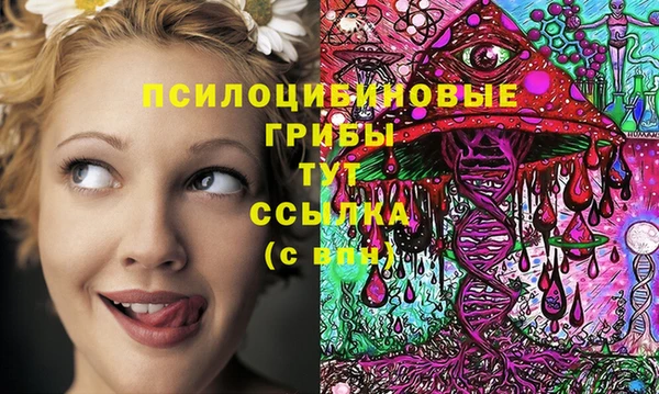 mdma Костерёво